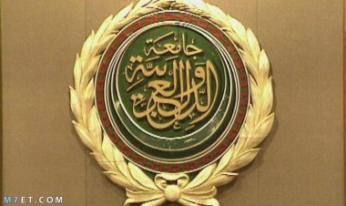 أبو الغيط يدين ابعاد سلطات الإحتلال الاسرائيلية لأسير مقدسي إلى فرنسا