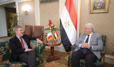 وزير التعليم العالي يبحث آليات التعاون العلمي والتكنولوجي مع إيطاليا