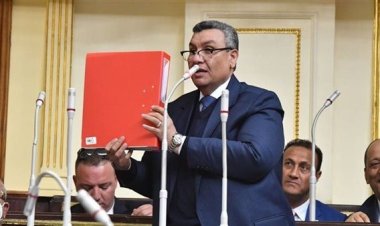 وكيل خطة النواب:  الفلاح يتحمل سنويًا 25 إلى 30 ألف جنيه حوالى 70 % من إنتاجه