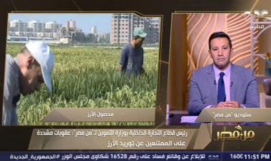 التموين: عقوبات مشددة على الممتنعين عن توريد الأرز (فيديو)