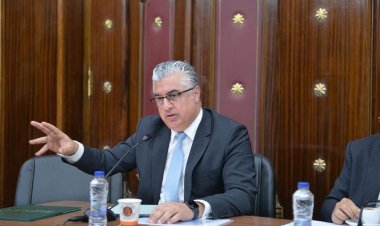 وليد جمال الدين: توافر المواد الخام بالقرب من منطقة أبو خليفة يعطيها ميزة تنافسية