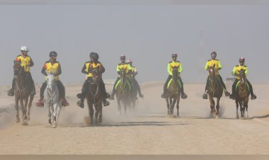 زلزال كاليفورنيا.. قنصل المملكة في لوس أنجلوس يطمئن على سلامة المواطنين