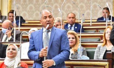 «العوضي»: الهجوم على إنشاء صندوق قناة السويس مغرض ومشبوه من الأبواق المأجورة