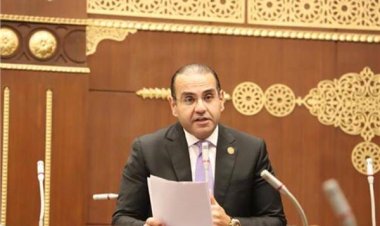 «المنزلاوي» يطالب بسرعة تحرك الحكومة لتطوير شركات القطاع العام