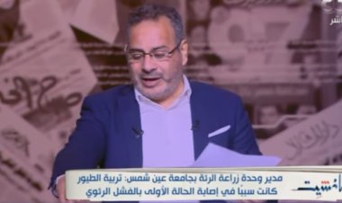 نجاح أول عملية لزراعة الرئة في مصر..  «مانشيت»  يكشف التفاصيل