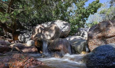 مشهد خلاب.. شلالات الطائف تحول المناطق البرية إلى واحات طبيعية