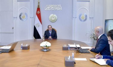 الرئيس السيسى يطلع على نتائج زيارة الوفد المصرى لسد جوليوس نيريرى في تنزانيا