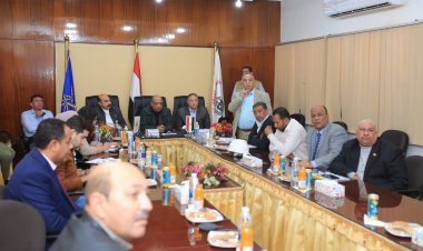 وزير قطاع الأعمال العام ومحافظ أسوان يتفقدان شركة كيما للأسمدة