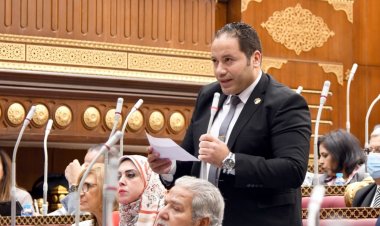برلماني: صندوق مصر الرقمية استكمال للتطوير المؤسسي الهادف لتحسين أداء المؤسسات