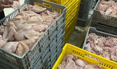 ضبط مجزر دواجن غير مرخص بمحافظة الغربية