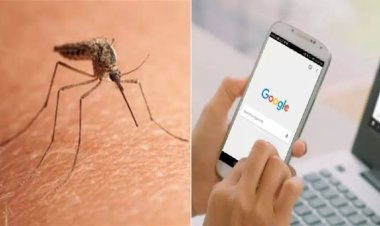 «ازاي اقرص الناموسة زي ما قرصتني».. تعرف على أكثر أسئلة المصريين لـ جوجل في 2022