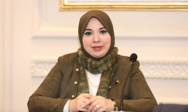 «يحافظ على الأسرة».. دينا الهلالي تكشف أهمية مشروع قانون الأحوال الشخصية