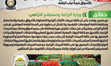 ننشر حقيقة  تداول مبيدات زراعية محظورة تتسبب في تسمم المحاصيل بالأسواق