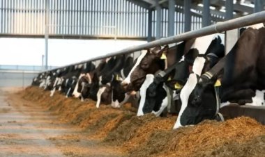 ضبط 4 شركات ومصنع للأعلاف والأسمدة والمبيدات بالمنوفية