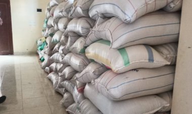 ضبط 183 طن أرز شعير وتحرير 16 محضراً للمحتكرين بكفر الشيخ