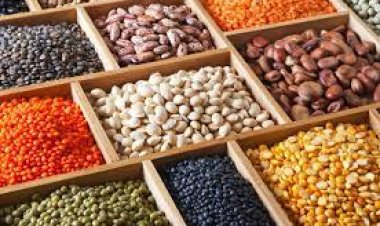 اليوم .. التموين تعلن عن الأسعار الاسترشادية للسلع الأساسية 