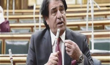 «أباظة»: قانون الأحوال الشخصية يؤكد حرص الرئيس على استقرار الكيان الأسري