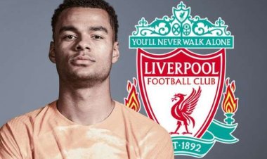 آخر أخبار صفقات ليفربول 2023 بعد ضم "جاكبو"
