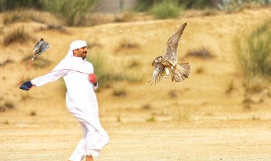 انطلاق بطولة فزاع للصيد بالصقور.. ومنافسة قوية في أشواط «العامة مُلاك»