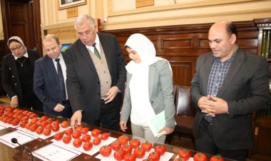 ضمن خطة إنتاج التقاوي.. وزير الزراعة يتابع نتائج تقييم بعض الهجن وأصناف الطماطم