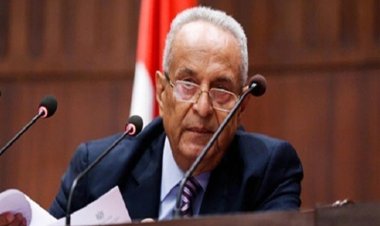 «أبو شقة»: صندوق مصر الرقمية خطوة جيدة ولازمة نحو الجمهورية الجديدة 