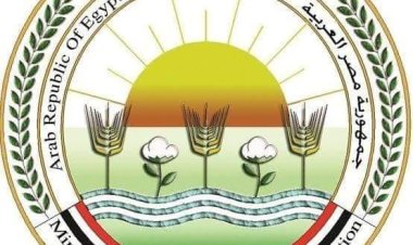 «الزراعة»: إيرادات «الإصلاح الزراعى» تجاوزت 748 مليون جنيه فى 2022