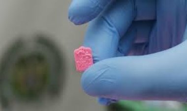 ضبط 4 أجانب بحوزتهم  6500 قرص «إكستاسى» المخدر ثمنهم 3 مليون و250 ألف جنيه بمدينة نصر