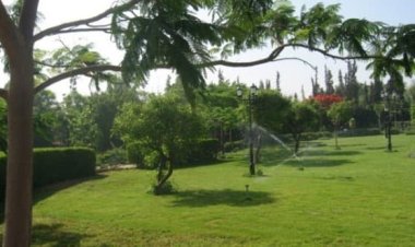 ياسمين فؤاد تستعرض جهود وزارة البيئة فى الحماية من الضوضاء وأعمال التشجير لعام 2022