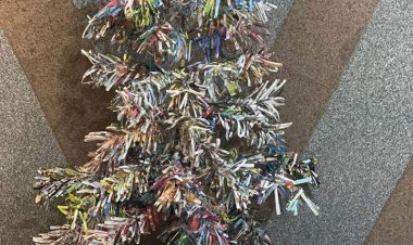 البيئة تحتفل ببداية 2023 بشجرة كريسماس صديقة للبيئة