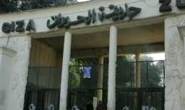 نكشف حقيقة غلق حديقة الحيوان بالجيزة الأسبوع المقبل