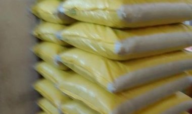 محافظ دمياط تتلقى تقريرًا حول جهود مديرية التموين خلال عام ٢٠٢٢