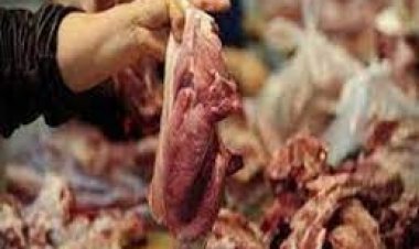 ضبط 3 أطنان دواجن ولحوم فاسدة في مطعم وجبات جاهزة بالجيزة