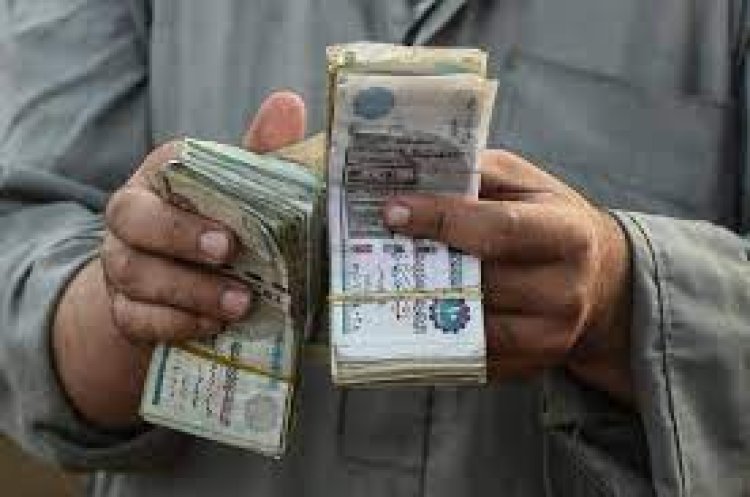 سقوط نصاب الوظائف الحكومية بالغربية