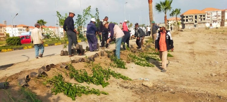 بزراعة 3000 شجرة بمنطقة 109.. خطة التوسع في المساحات الخضراء برأس البر
