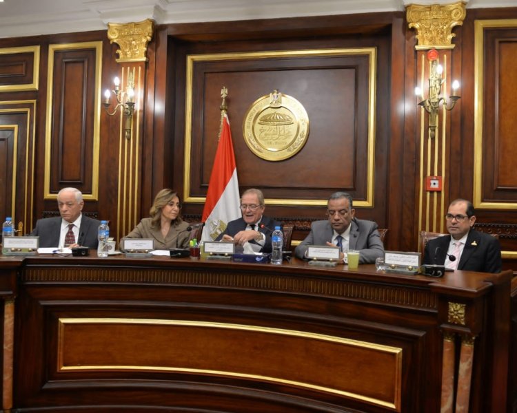 أمام أعضاء مجلس الشيوخ.. وزيرة الثقافة تستعرض جهود الوزارة لدعم حقوق الإنسان