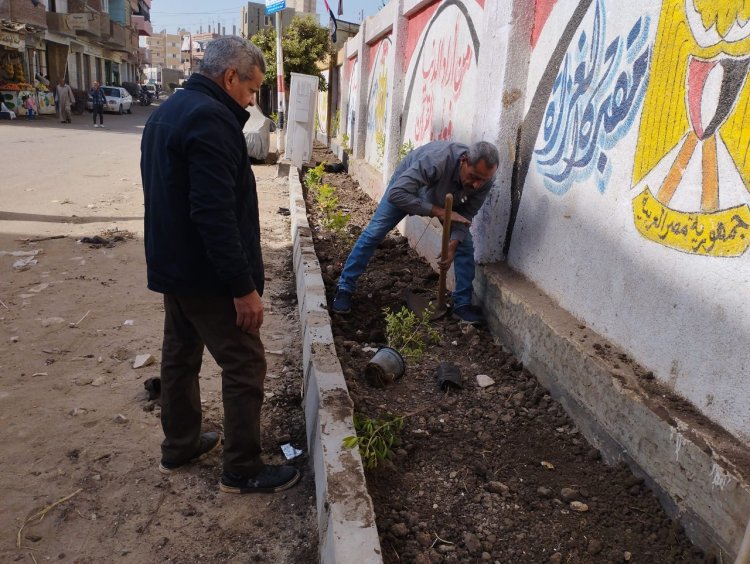 بأشجار الزينة.. تشجير أسوار  مدرسة ترسا للتعليم الأساسي