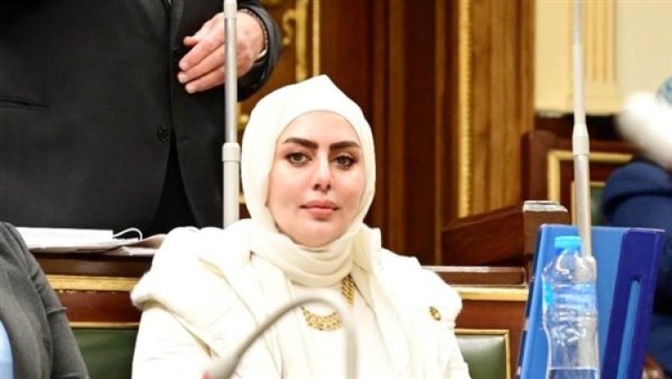 النائبة رحاب موسى: الرئيس السيسي يتعامل بهدوء وحكمة مع ملف سد النهضة