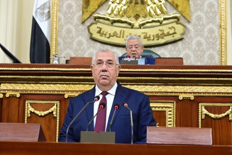 وزير الزراعة يستعرض جهود تنمية الثروة الحيوانية أمام مجلس النواب