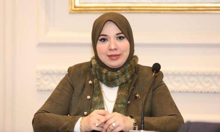 «يحافظ على الأسرة».. دينا الهلالي تكشف أهمية مشروع قانون الأحوال الشخصية