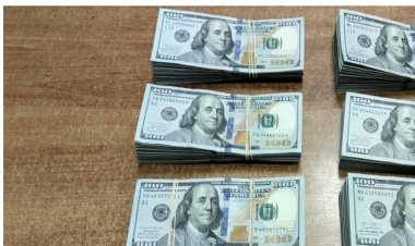 ضبط شخصين أثناء محاولتهما تهريب مبالغ مالية «بالمخالفة للقانون» بمطار القاهرة