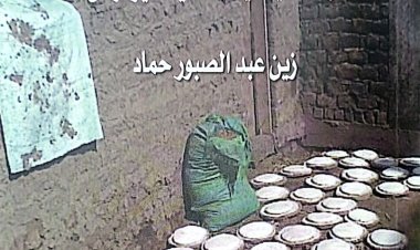 هيئة الكتاب تصدر «الأطعمة والأشربة في محافظة المنيا» لـ زين عبد الصبور حماد