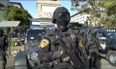 قتل وتعذيب الحيوانات الأليفة.. الداخلية تكشف تفاصيل تهديد سيدة من قبل أحد الأشخاص