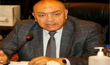 «برلماني»: 800 مليون جنيه قيمة العائد من إعلانات السكة الحديد وهذا لا يليق بها 