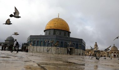 19 شهيداً و70 مشروعاً استيطانياً في القدس المحتلة خلال العام الماضي