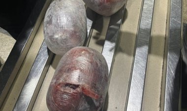 إحباط محاولة تهريب أقراص مخدرة «كبتاجون» داخل لحوم مجمدة