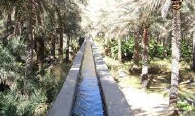 الانتهاء من تنفيذ 6 سدود للتغذية الجوفية بالداخلية والظاهرة