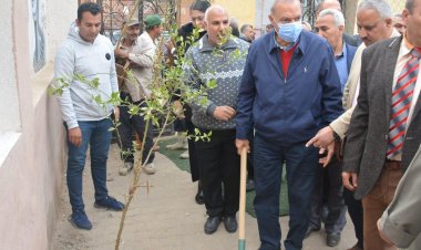 محافظ القليوبية يدشن مبادرة «100 مليون شجرة» بهدف تحسين البيئة
