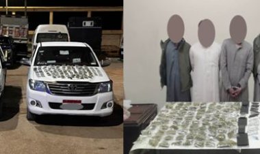 ضبط 4 أشخاص بحوزتهم 13 كيلو جرام بانجو وحشيش بجنوب سيناء