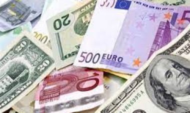 سقوط عصابة أجنبية تقودها سيدة للاتجار فى العملات بالسوق السوداء بعابدين 