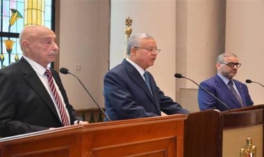 مصر تدعم توحيد المؤسسات الليبية كخطوة هامةلإجراء الانتخابات